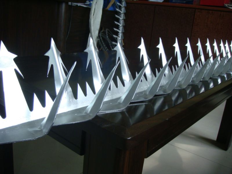 Hot-Dipped Galvanized Wall Spike/Razor Wall Spike