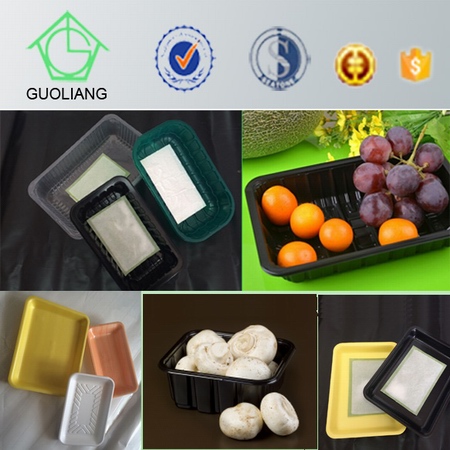 Customizable High Quality Food Display Plastic Mushroom Tray Packaging