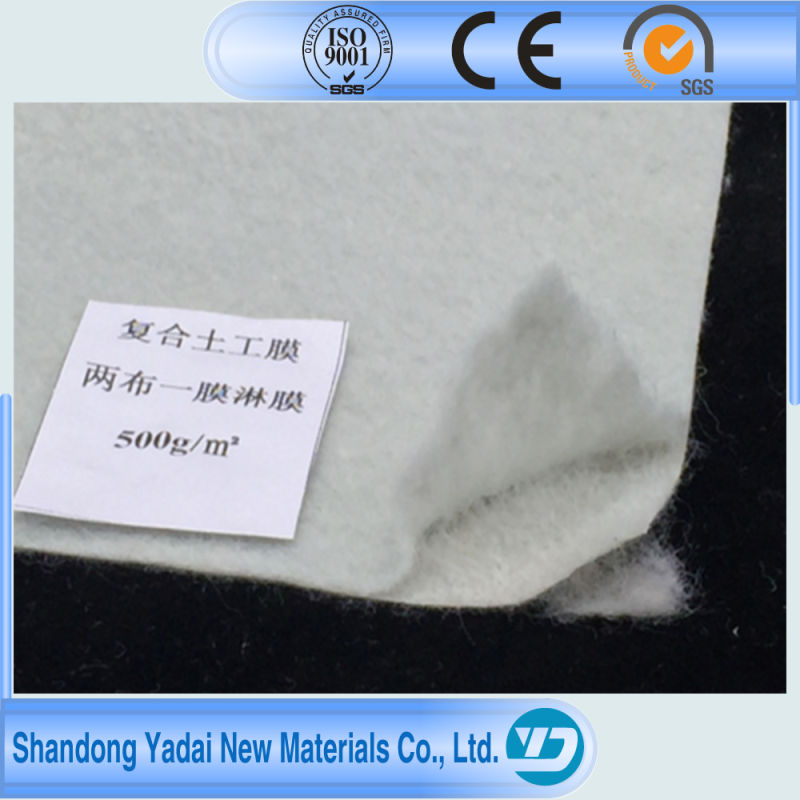 HDPE LDPE Film Fabric Geocomposite Geomembrane for Fish Pond