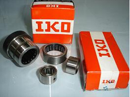 Japan IKO High Quality Needle Roller Bearing Na4920 with SGS