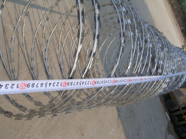 Cbt65 Single Coil Razor Barbed Wire