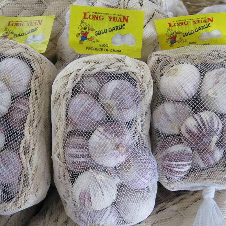 2015 High Quality Red Solo Garlic (4.5cm and up)