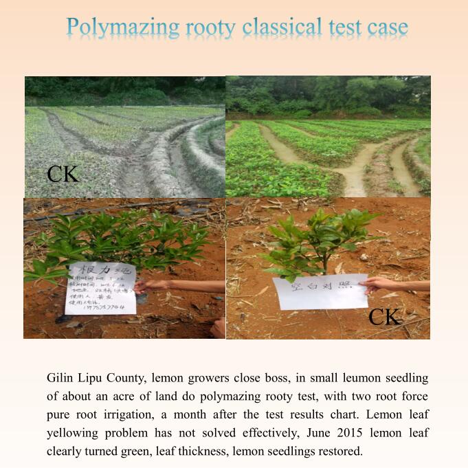 Polymer Root Liquid Fertilzier with Trace Elements