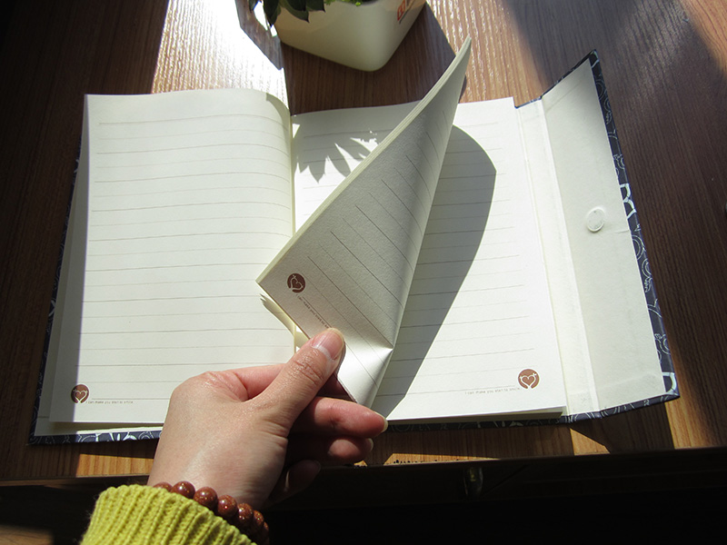 Art Paper Business Hard Cover Mini Magnet Notebook (XLX3296-X02)