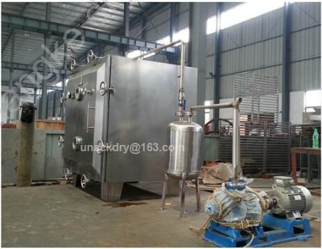 Vacuum Drying Machine for Apple Pulp