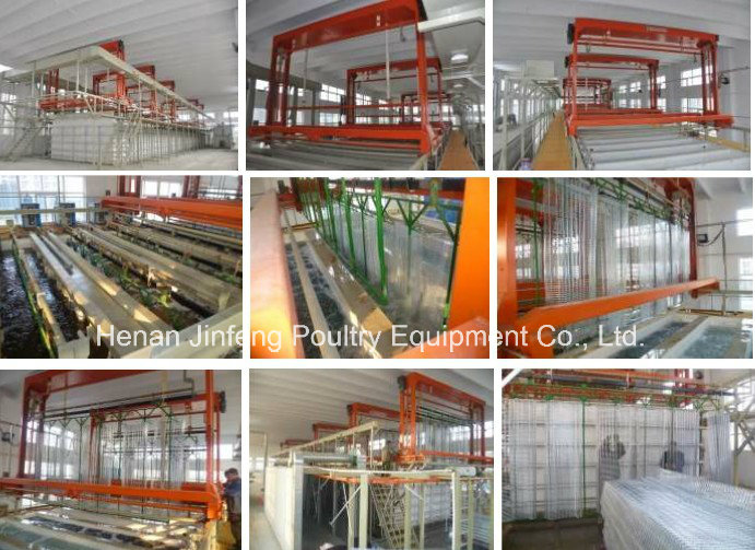 Chicken Cage Henhouse Poultry Equipment Chicken Cage Henhouse Poultry Equipment