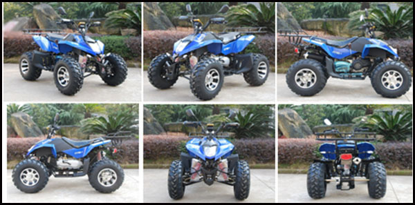 Gy6 Engine Automatic ATV Quad 150cc/200cc Air Cooled 4 Stroke