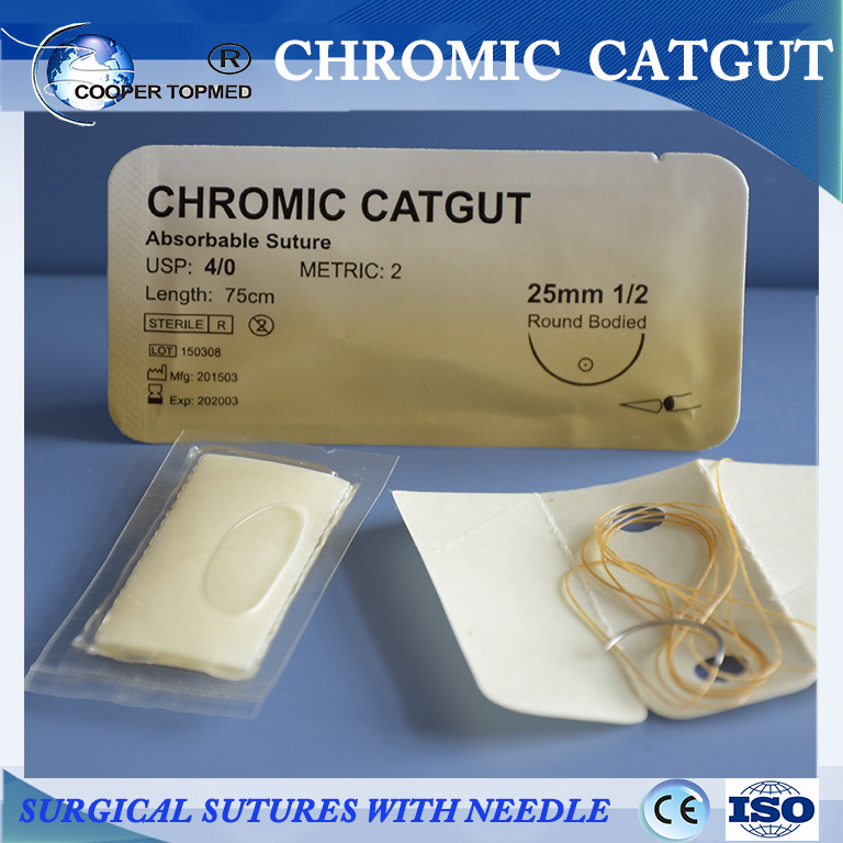 Surgical Suture with Needle