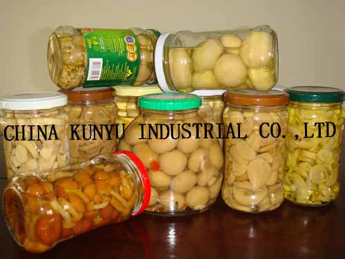 Canned Mushroom Pns with High Quality