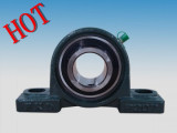 Good Quality Pillow Block Bearing /Ucp Bearings (UCP210)