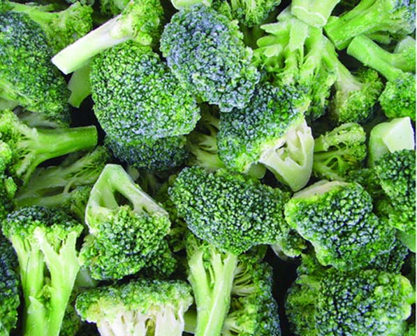 Chinese New Frozen IQF Broccoli