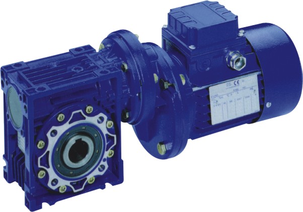 RV Series Worm Gear Motor