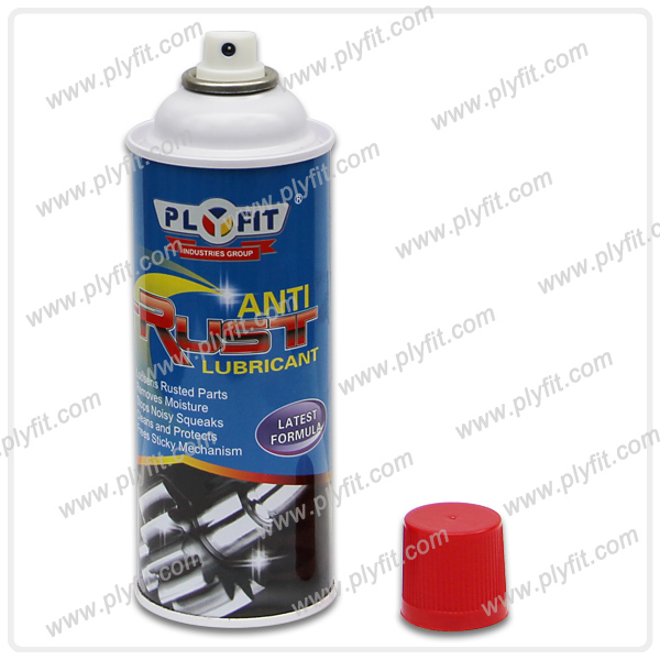 Car Care Anti Rust Lubricant Spray