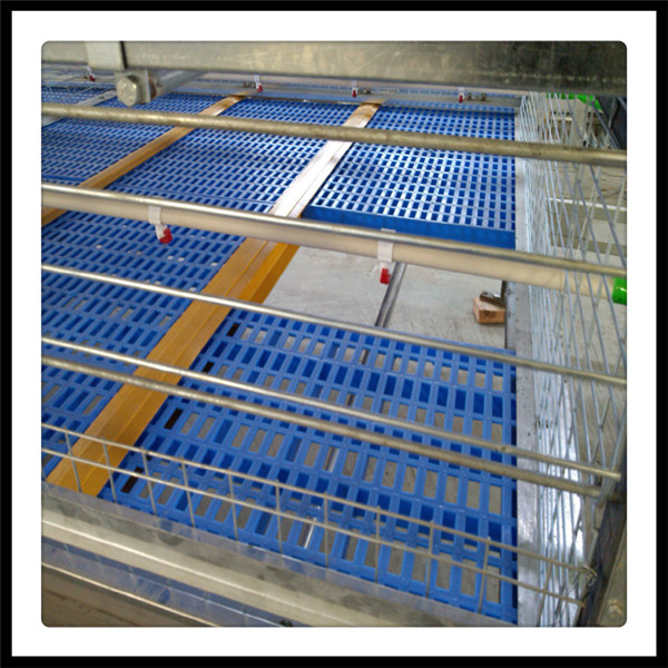 H Type Broiler Poultry Cage Equipment