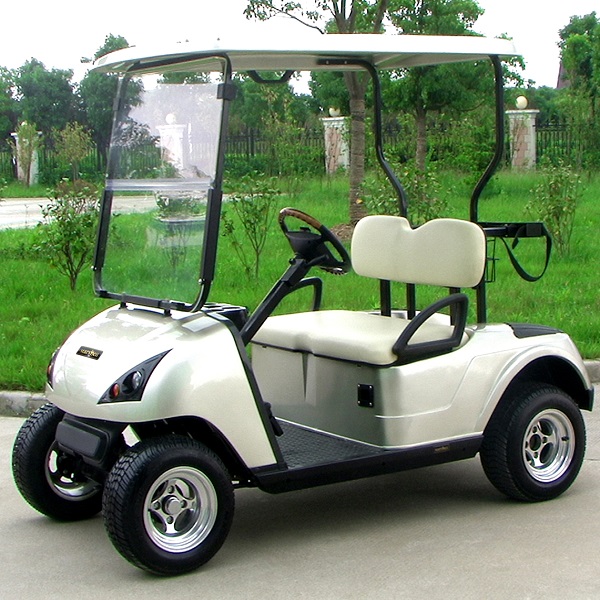 Comfortable 2 Seats Golf Cart with CE Certificate (Dg-C2)