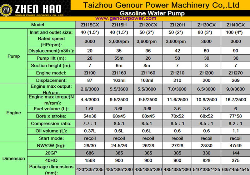 Egypt Gasoline Water Pumps with Good Pump Body