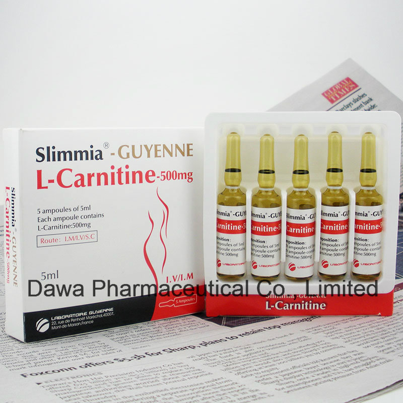 High Quality of L-Carnitine Injection for Body Slimming and Losing Weight Weight Loss