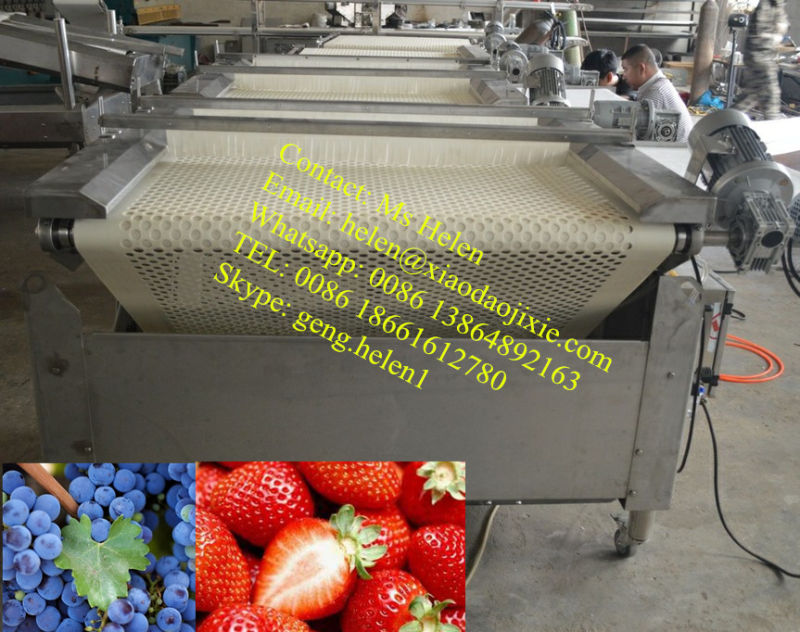 Blueberry Sorting Machine/ Blueberry Sorting Weighting Packing Line