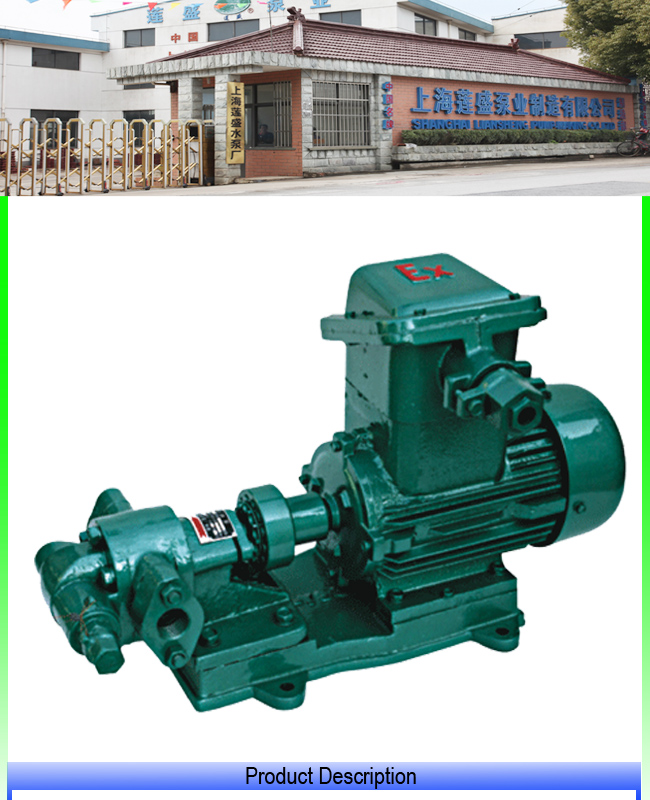 Gear Oil Pump with Oil Transfer Gear Pump