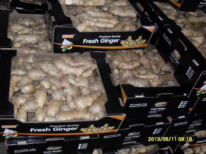 Ginger/Fresh Ginger/Air-Dried Ginger/Globalgap Certified Ginger