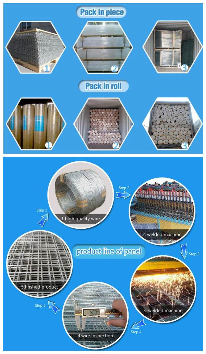 Galvanized/ PVC Coated Welded Wire Mesh