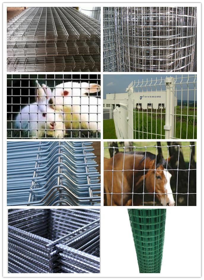 Effective Stainless Steel Welded Wire Mesh Panel