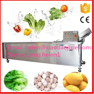 Fruit and Vegetable Cleaning Machine/Bubble Washer