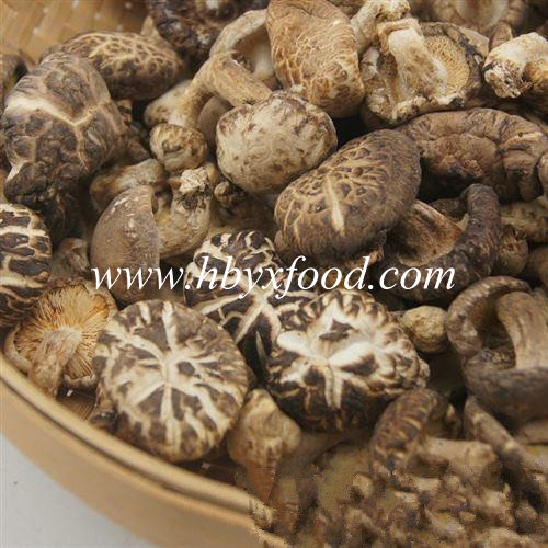 Best Selling Products, Organic Food, Healthy Food, Dried Tea Flower Shiitake Mushroom