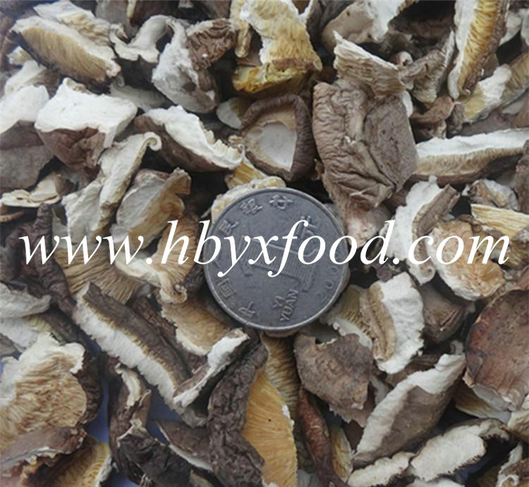 Bulk Dried Mushroom Shiitake Slice