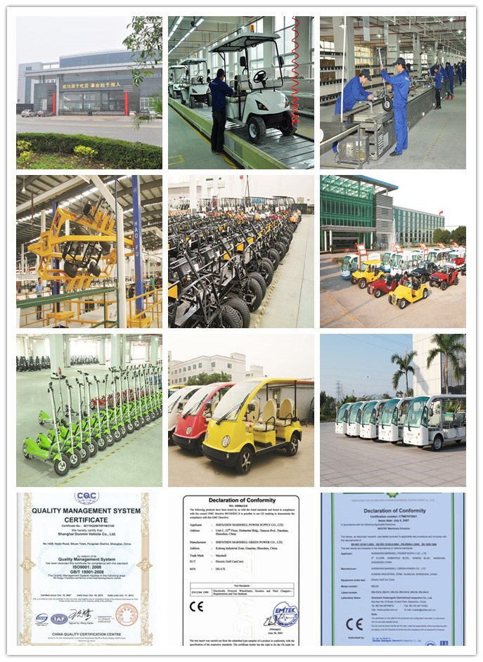 Two Seats Farm Use Electric Transport Vehicle (Dt-12)