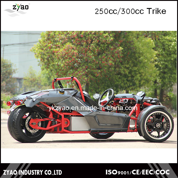 EEC 250cc Trike Three Wheel Bicycle for Adults Ztr Trike 250cc Trike Kit