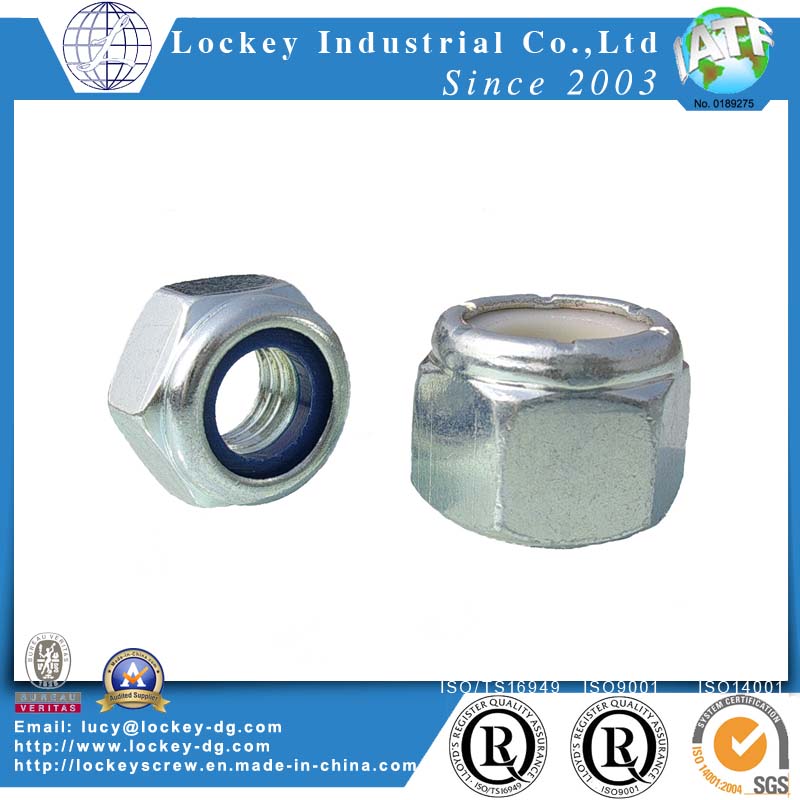 Stainless Steel 304/316 Hex Nylon Nut