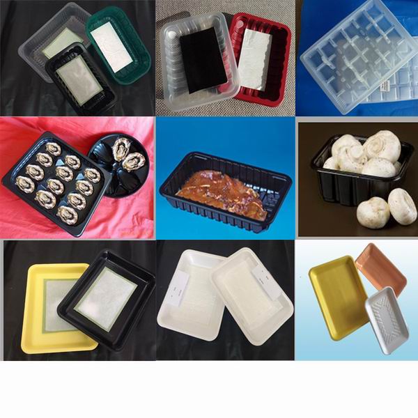 China Manufacture Custom Food Packaging Cheap Plastic Serving Trays