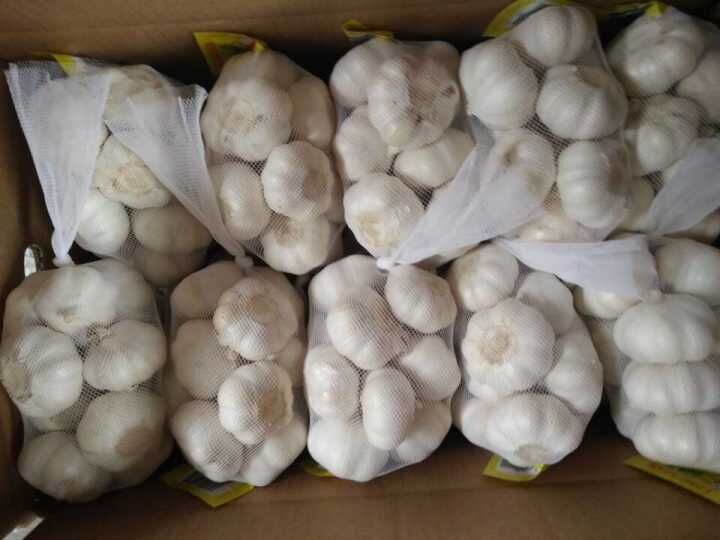 5.0cm and up Small Packing Pure White Garlic