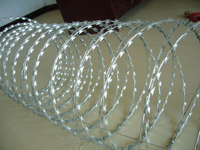 Hot DIP Galvanized Razor Wire Bto-22