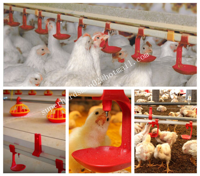 Automatic Poultry Farm Water Drinkers for Chicken