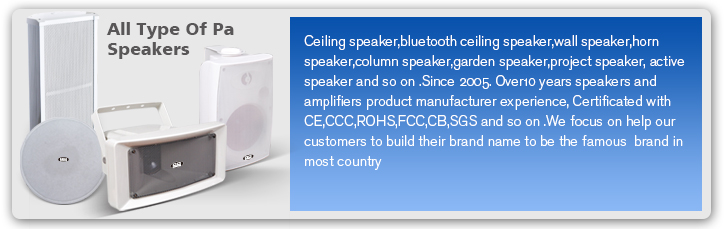 OEM Good Price Wall Mount Speaker with CE