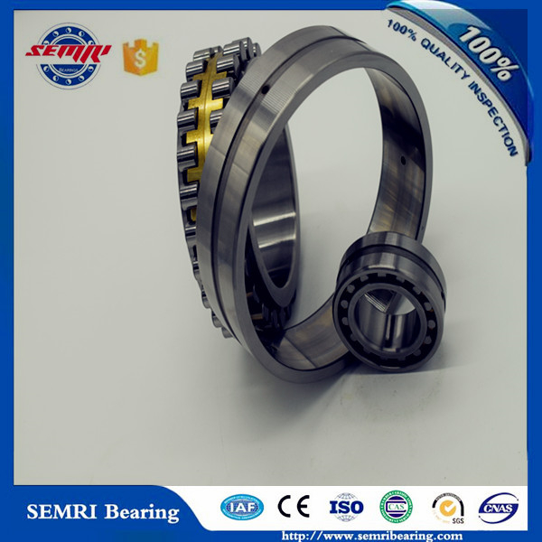 Zys Chrome Steel Cylindrical Roller Bearing (NU418)