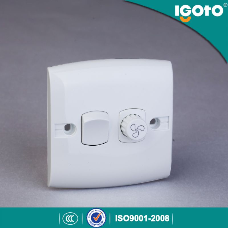 Igoto British Standard E116-1 1 Gang 2 Pin Switch Socket