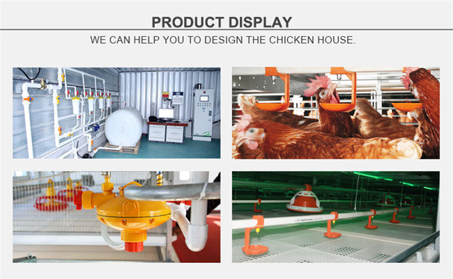 Farming Port Poultry Farm Drinking System for Chicken House