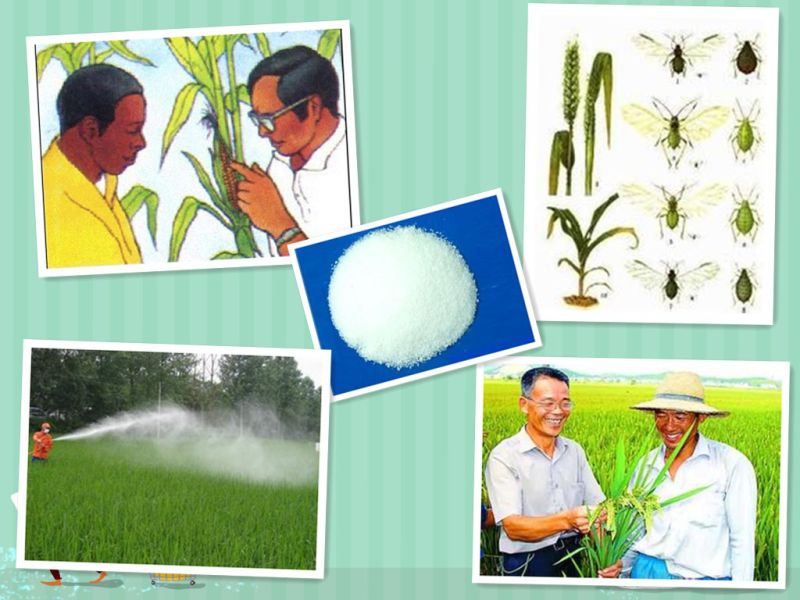 Agrochemicals Acaricide Pesticide Insecticide Lambda-Cyhalothrin Tc