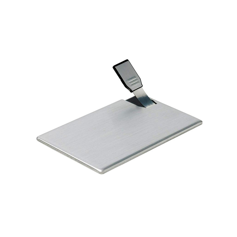 Business Credit Card Shape USB Flash Drive