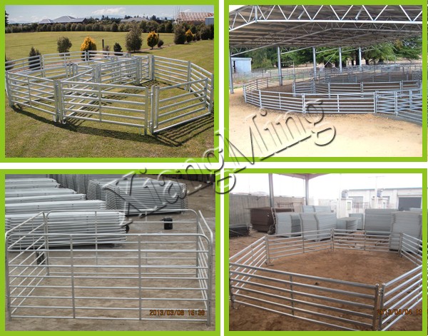 Portable Sheep Panel Sheep Yard Fence Goat Panel