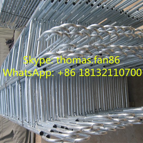 Galvanized Monkey Ladder for Scaffolding