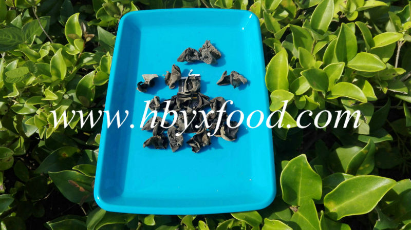 Dried Black Fungus Wood Ear Mushrooms