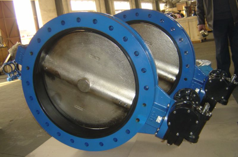 Dn40-Dn2400 Double Flanged Butterfly Valve