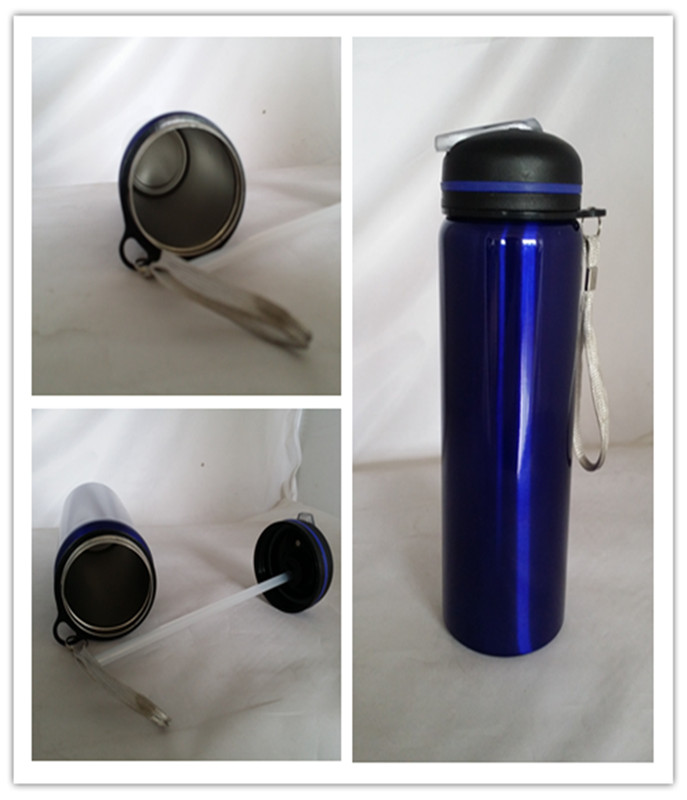 750ml Drinking Bottle, Stainless Steel Water Bottle (SH-ST06)