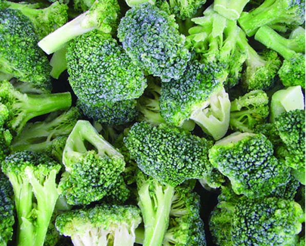 New Crop IQF Frozen Broccoli