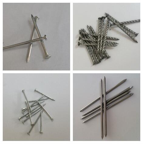 Made in China Round Common Nail