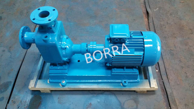 Agriculture Irrigation Self-priming Clean Water Pump